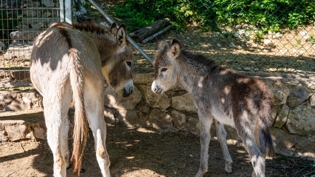Casa Rural La Chocolateria Horche Dış mekan fotoğraf
